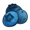 Blueberries
