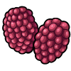 Raspberries